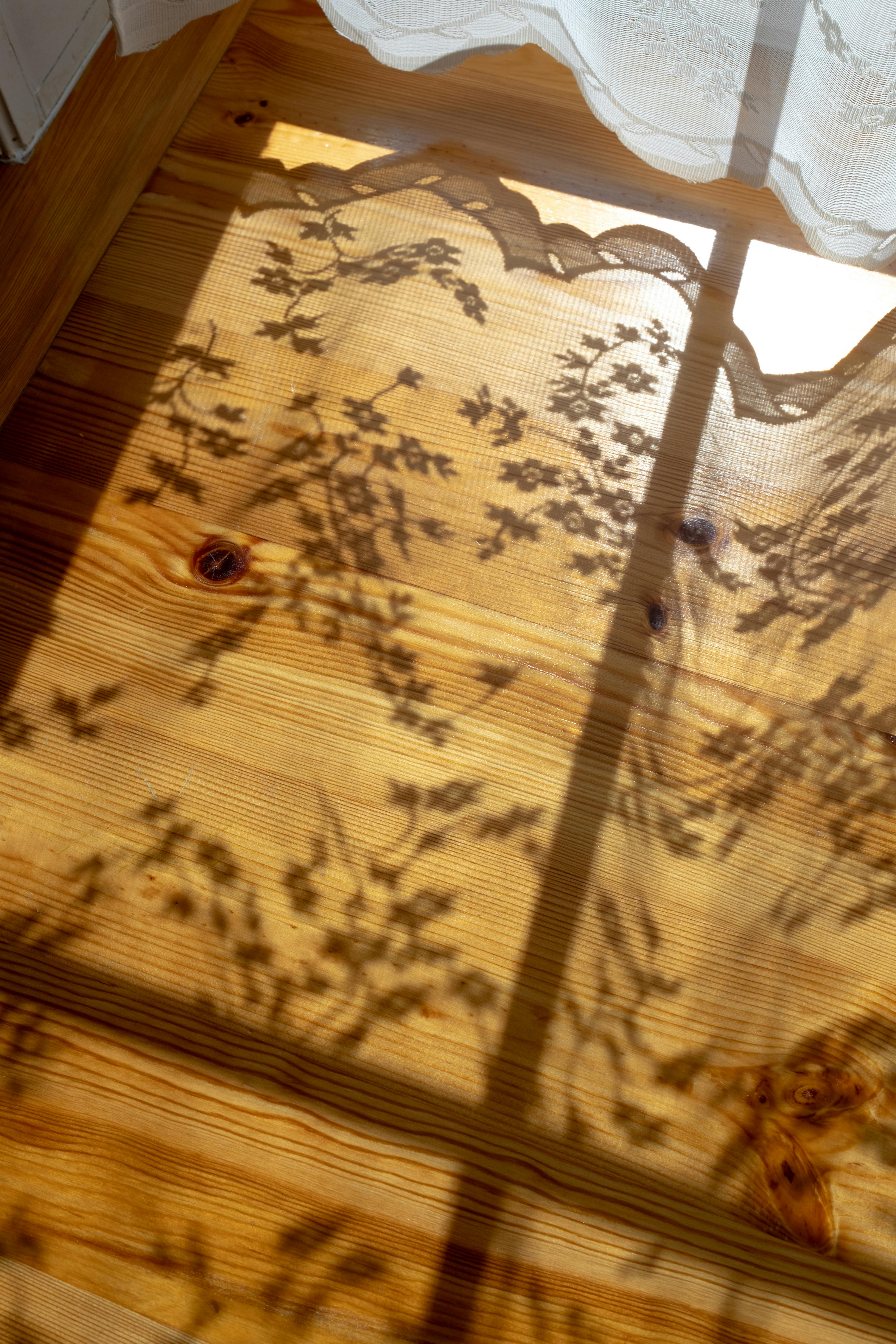 Un entretien régulier à l'eau et un dépoussiérage pour le parquet