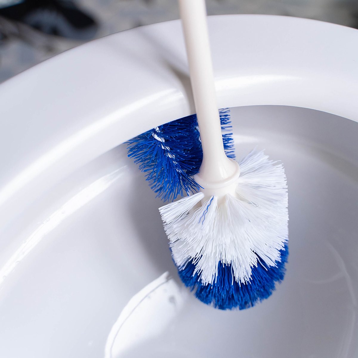 Balayette WC Sanitized® Eléphant Maison
