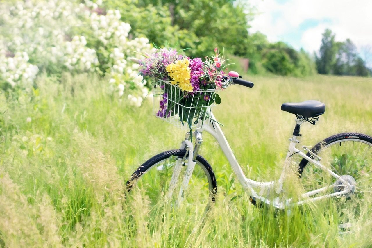 Vélo blanc décoré de fleurs garé en extérieur, prêt à être nettoyé avec le kit de brosses vélo Eléphant