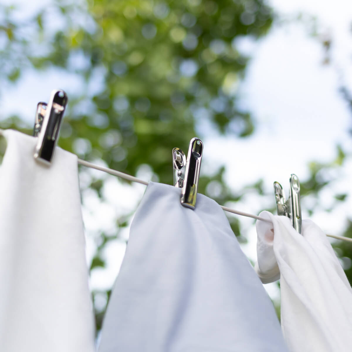 Pinces à linge inox x16