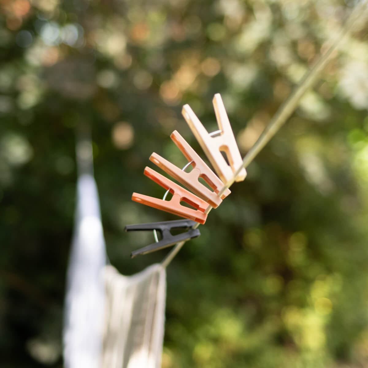 Pinces à linge plastique x24